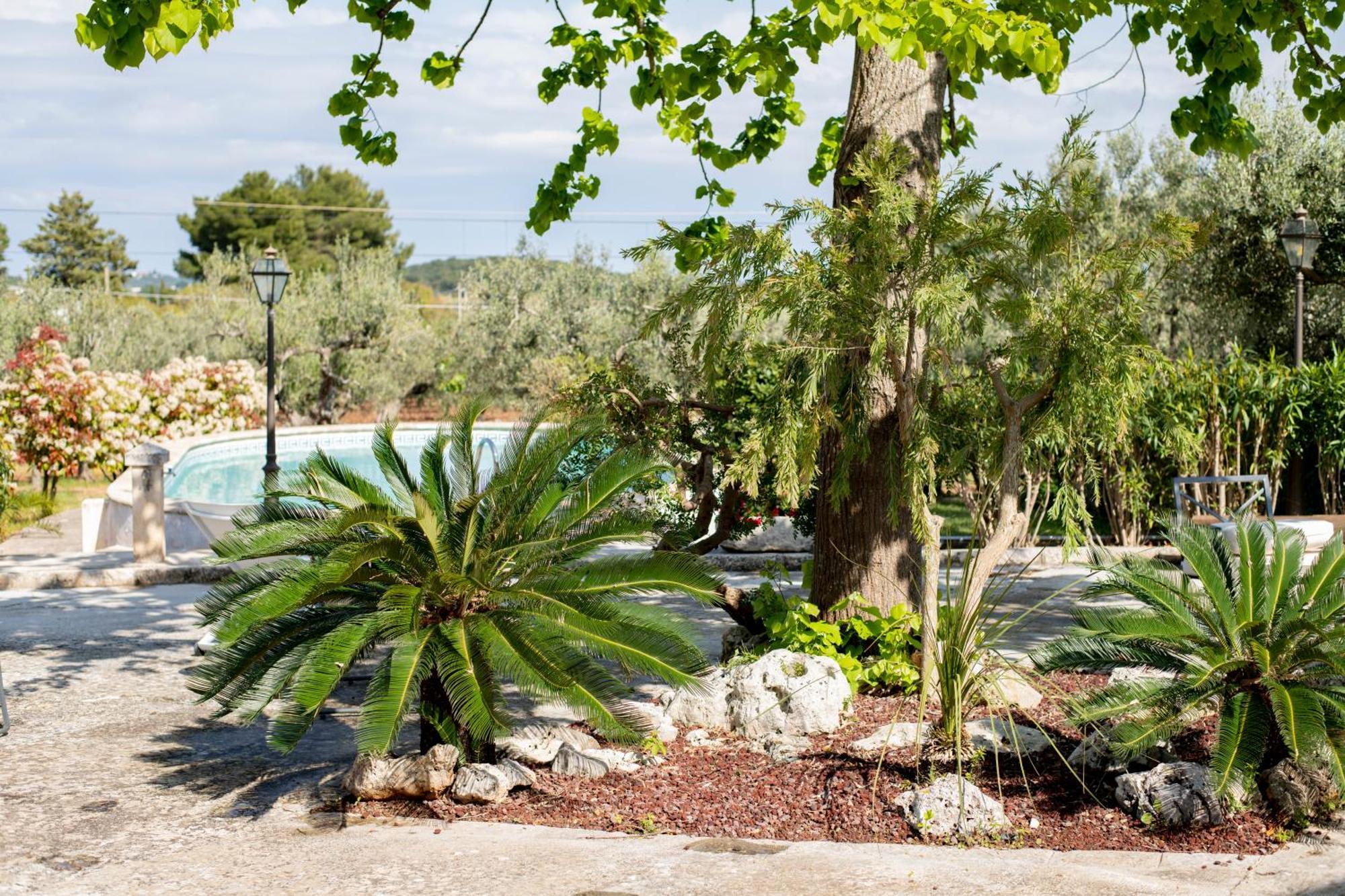 Masseria Trulli Bruni 洛科罗通多 外观 照片