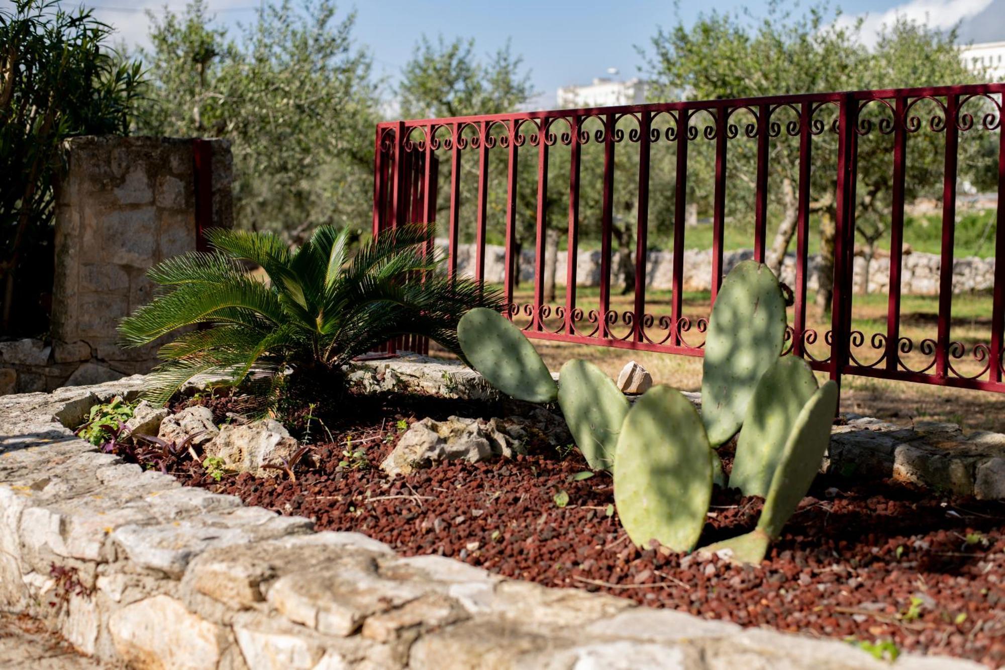 Masseria Trulli Bruni 洛科罗通多 外观 照片